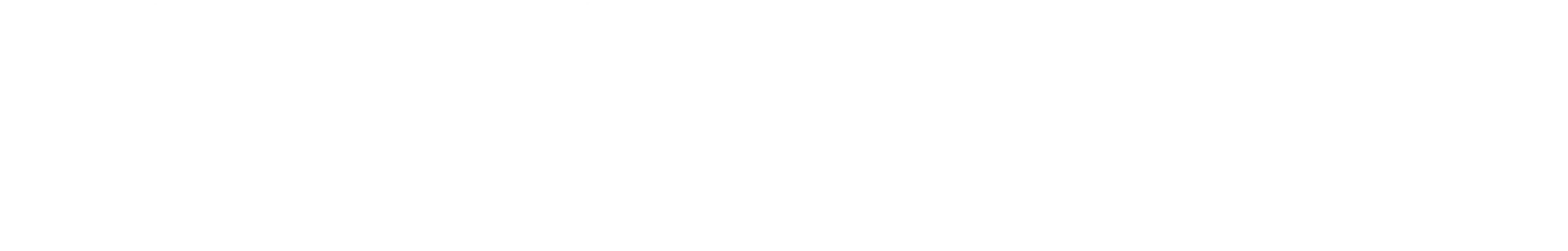 SAS EuroBonus - Transfer Mag Miles 1:1